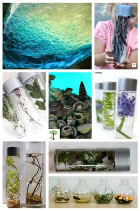 DIY nature sensory bottles made with natural materials including shells, sticks, flowers, leaves, etc.