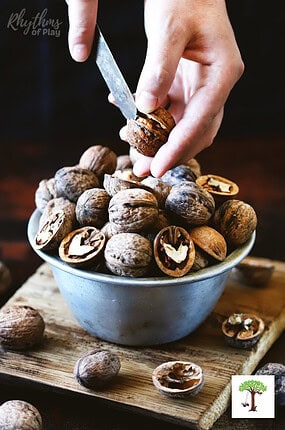 Person showing how to crack open a walnut into perfect halves for crafts and DIY projects.