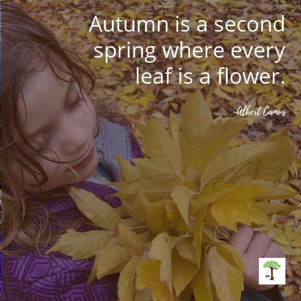 Child smelling bouquet of fall leaves with quote, "Autumn is a second spring where every leaf is a flower."