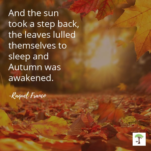 Sun and colorful autumn leaves on fall autumnal equinox with quote, "And the sun took a step back, the leaves lulled themselves to sleep and Autumn was awakened."