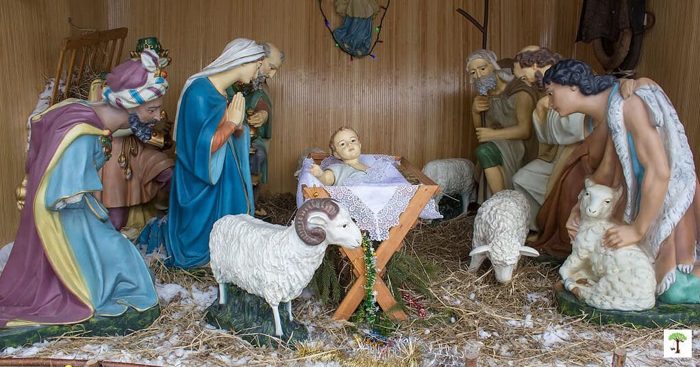 Elaborate Christmas nativity scene display set up with Jesus, Mary, Joseph, Wise Men, Shepards, Ox, sheep, and goats.