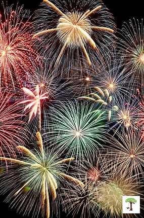 New Year's Eve Celebration Idea - enjoy a fireworks show!
