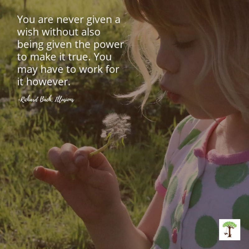 Girl making a wish with quote, "You are never given a wish without also being given the power to make it true. You may have to work for it however." Richard Back (Illusions)