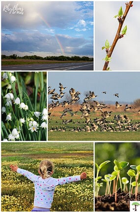Photograph showing early signs of spring; snowdrops, new leaf buds, rain showers with a rainbow, migrating geese, sprouting life, and a field of wildflowers.