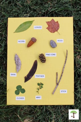 Using a nature sensory card or a container makes it easy to match the items on an outdoor scavenger hunt.