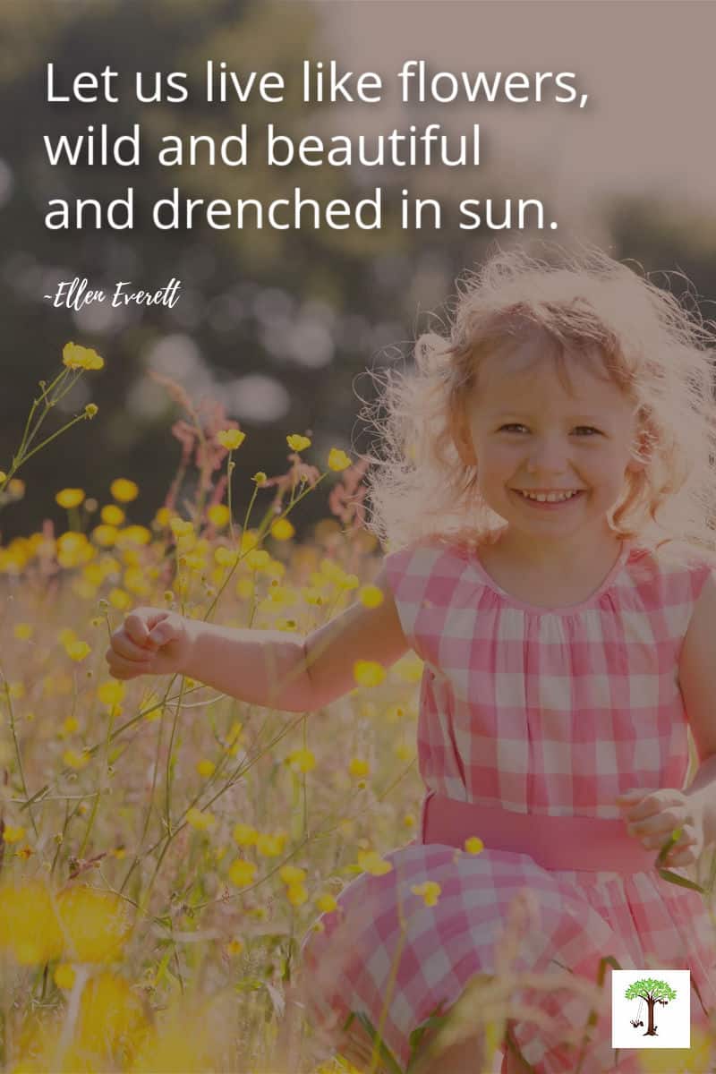 Signs of spring flower poem, “let us live like flowers wild and beautiful and drenched in sun” by Ellen Everett