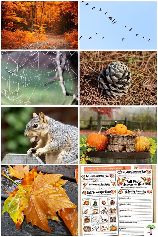 Fall scavenger hunt outdoor activities for kids and adults.