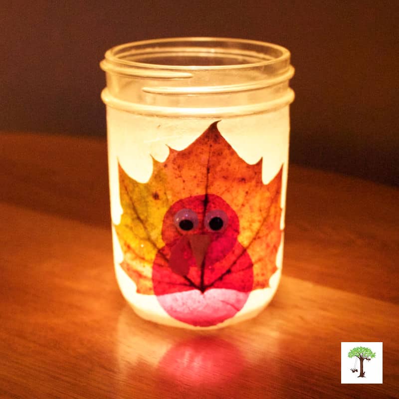 Thanksgiving turkey leaf lantern fall DIY decor