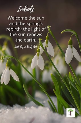 Snowdrops bursting from snow covered earth with Imbolc poem by Nell Regan Kartychok "Welcome the sun and the spring's rebirth: the light of the sun renews the earth."