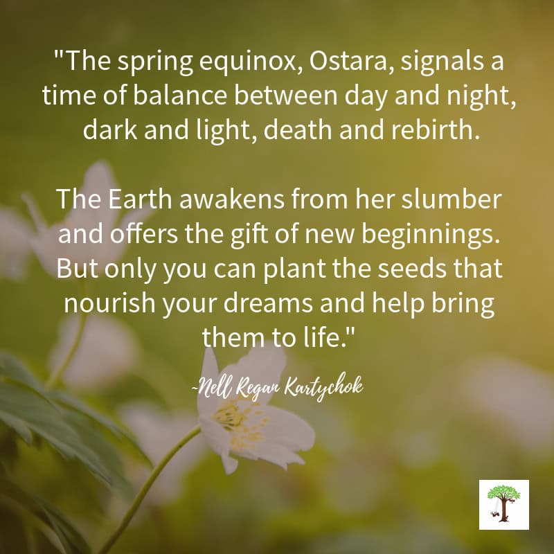 Quote by Nell Regan Kartychok about the Spring Equinox with spring flower. "The spring equinox, Ostara, signals a time of balance between day and night, dark and light, death and rebirth. The Earth awakens from her slumber and offers the gift of new beginnings. But only you can plant the seeds that nourish your dreams and help bring them to life."