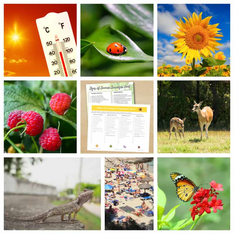 First signs of summer with printable scavenger hunt.