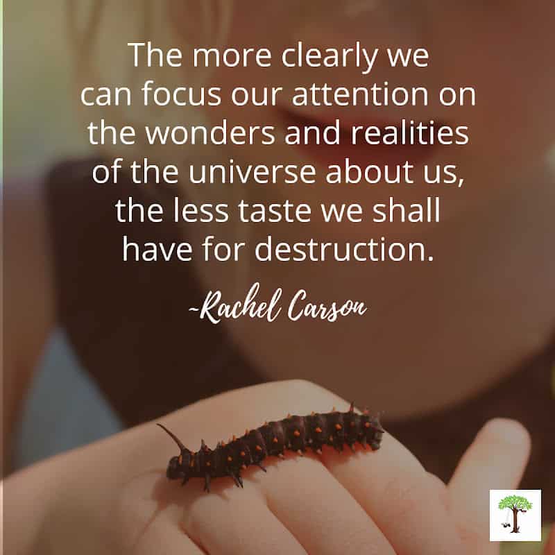 Child observing a caterpillar crawling on her hand with quote, "The more clearly we can focus our attention on the wonders and realities of the universe about us, the less taste we shall have for destruction."--Rachel Carson (Photo of Charlize Kartychok by Nell Regan Kartychok)